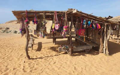 Guajira bags business ethnic designs